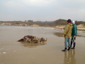 Foto Omar Defeo - bitacoradelcamino.com